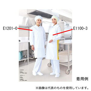 RE E1201-1H ZVAGv t Ђ^Cv u[