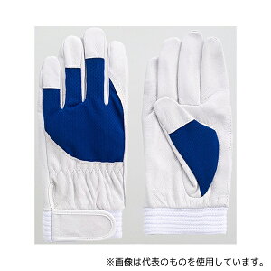 xmO[u 5871 ؖ{ AX[g u[ M 1P[X(10o)