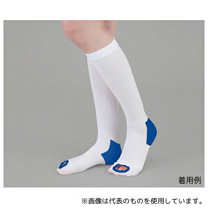 irX(AY) eXgbLO(~ߕt) nC\bNX L