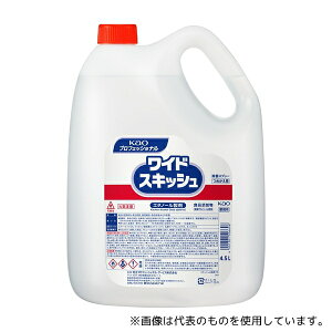 ԉ ChXLbV ߂p 4.5L Ɩp G^m[ 1P[X(3{)