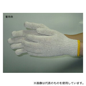 xm܍H 484-51 ȓ{R (7Q[W)  t[ (12og×60)