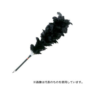 cH 53052 _`EԂ͂ 