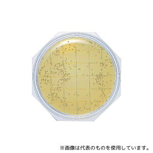 Ã_CAOmXeBNX 6792 N[X^v25ujbXCv SCDLPV(ʐېp) 150