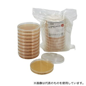 Ã_CAOmXeBNX 50058 AL[gHK}SCDV|n(3dE퉷) 100