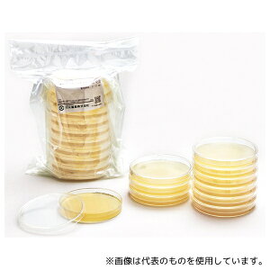 Ã_CAOmXeBNX 51050 AL[gHK}SCDLPV|n[N (dP) 10