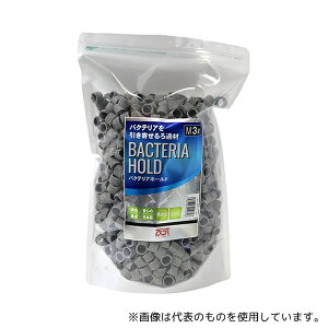 AY phߍ oNeAz[h M 3L