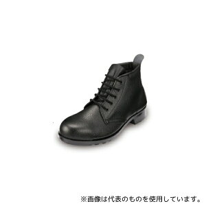 G[(pi) AE212 ҌC  25cm