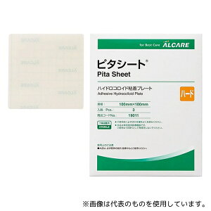 APA 19011 s^V[g n[h 3