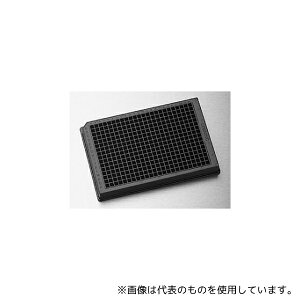 R[jO 3573 384EF\bhv[g[tW   ŋ t^Ȃ 1P[X(10×5pbN)