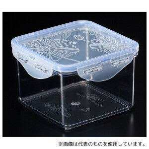 bN&bN LBF855 L&L rXt[Rei XNGA [^ 0.86L