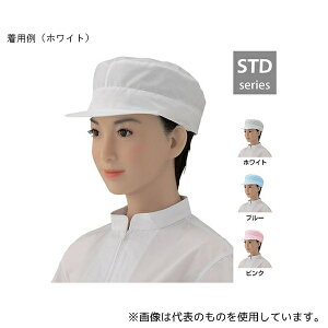 �V�Q���� EP4808-01 �ۓV���n �z���C�g 1�g(2����)