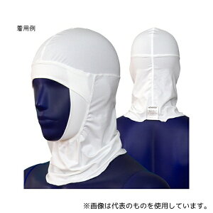 VQ ET7571V2-01 wAlbg Ver.2 zCg M 1g(10)