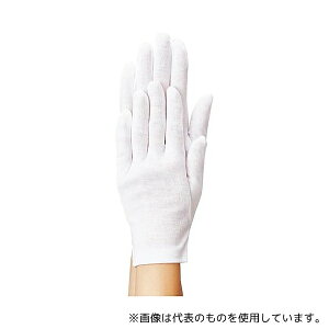 쐼H 003-LL XX܃GRm~[}`Ȃ LL 12o