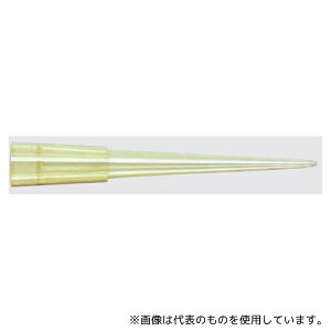 Thermo Fisher Scientific Nov-20 HLT200 �C�G���[Beveled-end �o���N(1000)1��(1000�`�b�v��)