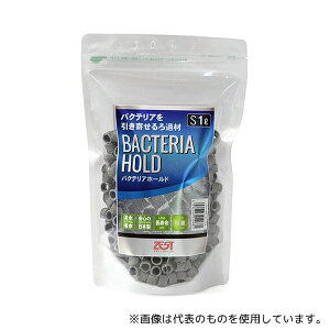 AY phߍ oNeAz[h S 1L