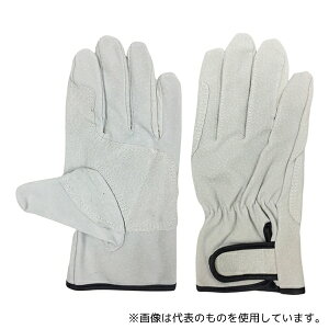 ACE() AG547-10P-L ؏v }WbNe[v Aet 10og LTCY