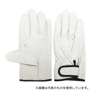 ACE() AG520-LL ؃NXg }WbNe[v Ae LLTCY