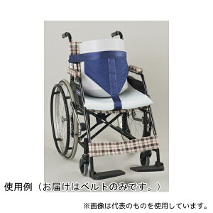 Ōpi B-101 ԃCXp 񂵂xg