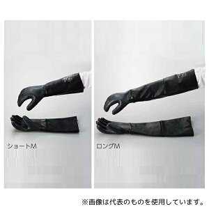 AZ 19-026 ϔM At@ebN O LL