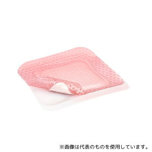 X~X&lt[ 66800835 nChWFgGCh 100×100mm(a@ō̗pAӂpbh̔ƂɂȂJnp) 1(10)