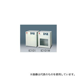 }gȊw IC101W P