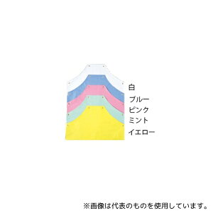 Zu 5-485 t[ EVAGv CG[