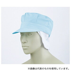 Zu 9-1066 t[ VbVpXqt u[ GR