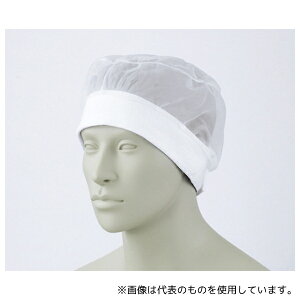 Zu HN-21 t[ wA[lbg(10) 