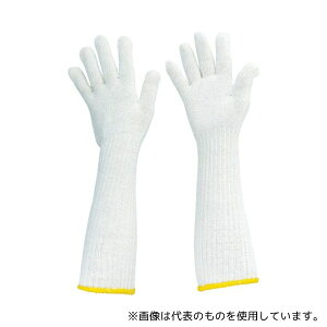 gXRR TLLG Ђ܂ŃOR 10o