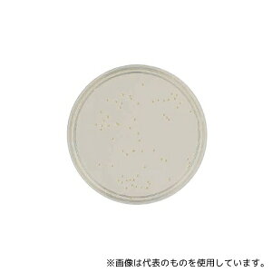 xNgEfBbL\ 252479 BD BBL(TM) SCDV|n RT 1(1{×100)