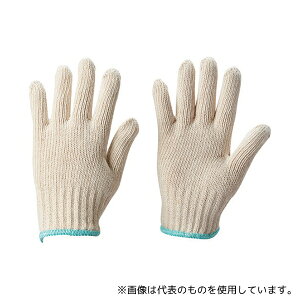 gXRR TCLJM qpR ~߂Ȃ 10o