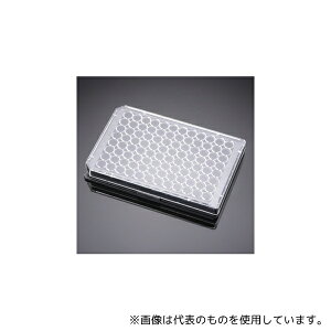 Corning(Falcon) 353219 96EFv[g FEF/{gזE|{ t^t 1P[X(8×4pbN)