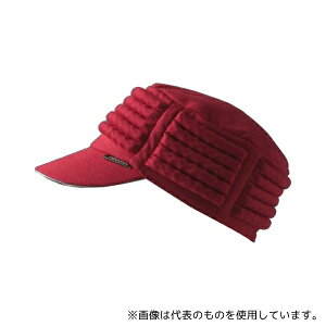 ߗ 2083 A{lbg +JARI Lbv t^Cv bh STCY