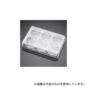 Corning(Falcon) 353502 ZJ`[CT[gRpjIv[g 6EF t^t 1P[X(1×50pbN)