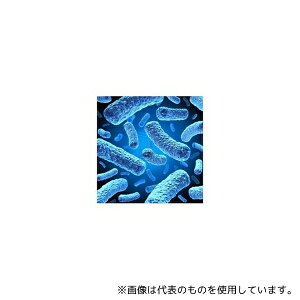 NVG(�����N) 71137-3 Rosetta-gami B(DE3)pLysS Competent Cells