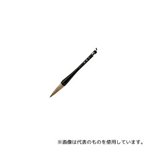 LMY G-21 M RGN