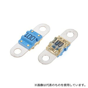 Pudenz 153.5631.6101 自動車用ボルトダウンヒューズ 定格電流 100A 青 32V dc 1袋(5個入)