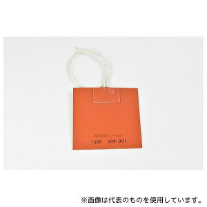 ThreeHigh SR100-80-100-100 VRo[q[^[100V 80W 100mm×100mm [h300mm