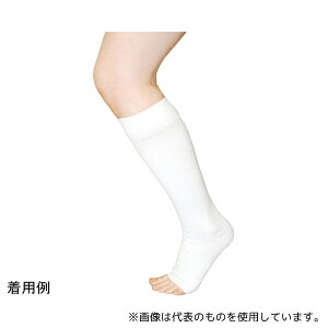 x[eEvX SVE02M \tB[VE XgO zCg MTCY 2{