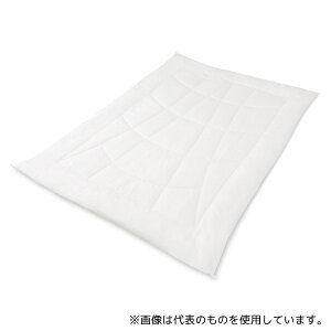 アイリスオーヤマ FADAK-S 抗菌防臭・防ダニ 掛けふとん ホワイト
