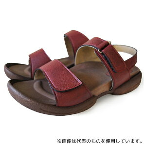 Qb^ R279-RBR-LL obNxgtO~T_ bhuE LL(25.0`25.5)