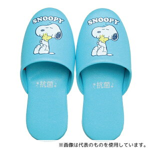 jb|Xbp 231645 qǂpXbp Xk[s[ u[