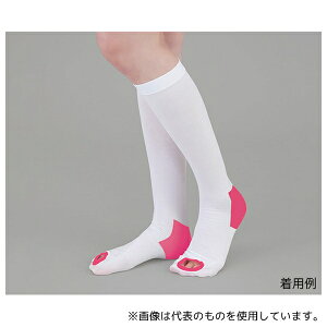 irX(AY) eXgbLO(~ߕt) nC\bNX M