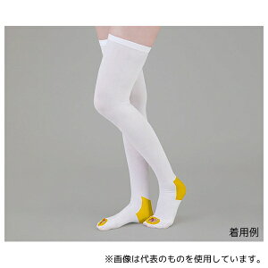 irX(AY) eXgbLO(~ߕt) XgbLO S