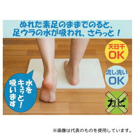 フジワラ化学 NEW足乾バスマット