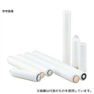 ADVANTEC 21901111 g[Z TCY-ND-S1FE