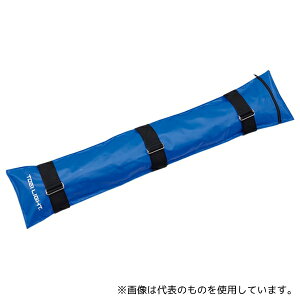 g[GCCg B2865 ThEGCg ST10 OEGCg10kgp