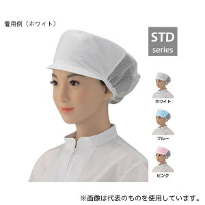 VQ EP4018-01 XqobN[h n zCg 1g(2)