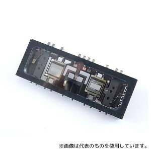 KORG NUTUBE-6P1 M^o3Ɋ