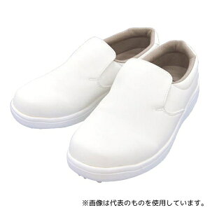 pbNX^C 550674 RbNV[Y ZC VFtObv  24.5cm